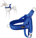 Plutus Pet No Pull Dog Harness for Large Dogs, Breathable Mesh Padded | Adjustable Reflective with Handle, Escape Proof, Quick Fit Pet Vest, Front Clip, for Training and Walking, Royal Blue, L by PLUTUSPET