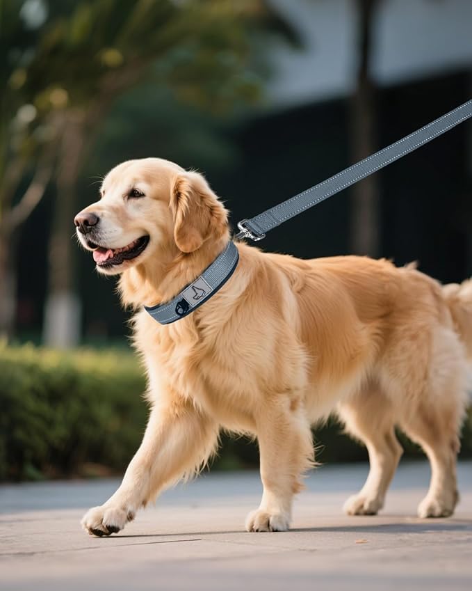Joytale Reflective Dog Collar for XLarge Dogs with Wide Padding, Gray | Soft Cushion Reduce Neck Strain, Night Safety Walking, Metal Buckle and Adjustable Eyelets, Separated Dog ID Tag Ring - Image 6