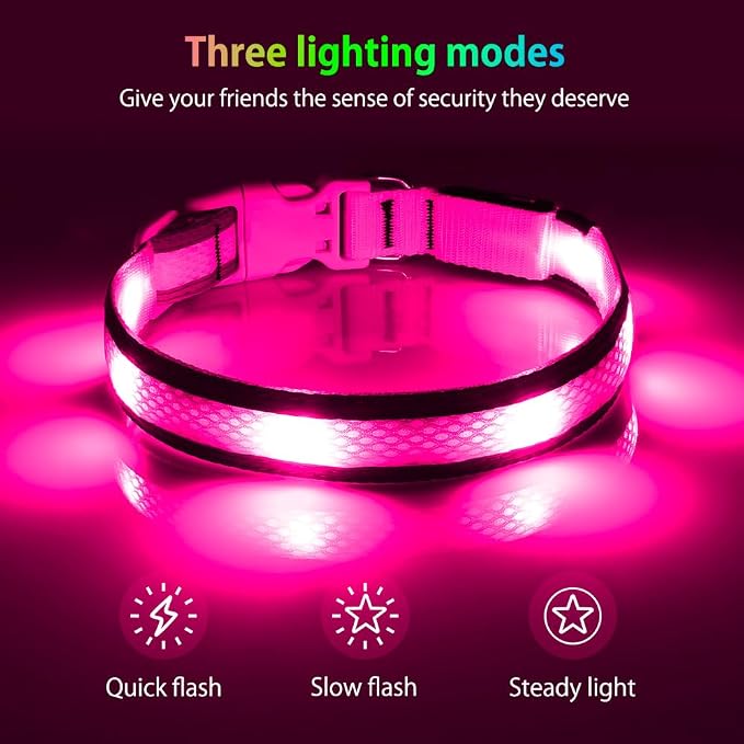 Illumifun Light Up Dog Collar - USB Rechargeable LED Dog Collar Glow in the Dark, High Visibility Glow Collar Light for Nighttime Walking (Medium, Light Pink) - Image 2