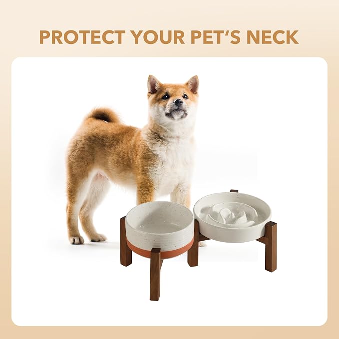 Havniva Raised Slow Feeder Dog Bowls, Elevated Dog Bowls Slow Feeder Set | 1.2 Cups Ceramic Dog Bowl Elevated with Acacia Wood Stand, Raised Dog Food Bowl, Puzzle Slow Feeder for Small Dogs, Non-Slip - Image 9