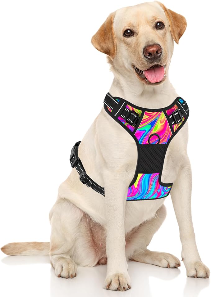 Rnivvi No Pull Dog Harness, Cute Reflective Large Sized Puppy Harness, Adjustable Soft Padded Vest for Large Dogs, Heavy Duty Pet Vest with Easy Control Handle for Walking Training, Rainbow Art - Image 2