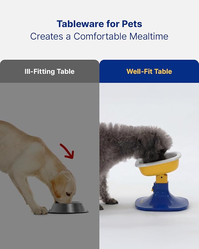 Well Fit Elevated Dog Bowl Stand, Yellow & Blue | Adjustable Height 4.5–7.4 in with 0–22° Tilt, Stable Non-Slip Feeding Stand for Dogs & Cats, Bowl Not Included - Image 4