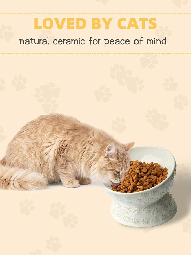 Ceramic Tilted Elevated Small Cat Bowl, for Fat Faced Cat, Kitten, White | 15° Tilted Elevated Design,5oz Small Meal Capacity,Chin-Friendly Ceramic,Paw Print - Image 6