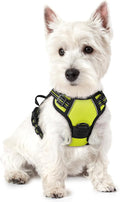 rabbitgoo Dog Harness No Pull with 2 Leash Clips, Adjustable Soft Padded, Reflective Oxford No Choke Pet Vest with Easy Control Handle for Puppy, Green, XS | No Choke with Handle, Adjustable Soft Padded, Reflective, Easy Control for Walking, Wild Lime,... by rabbitgoo