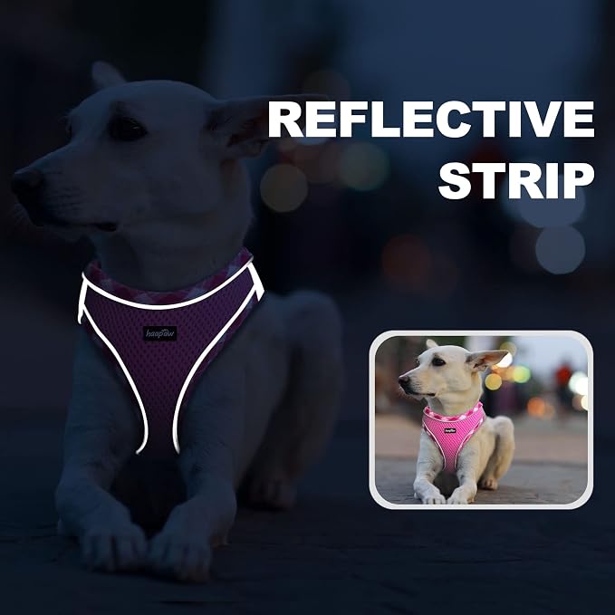 haapaw Dog Harness with Leash Set, No Pull Adjustable Reflective Step-in Puppy Harness with Thickened Padded Vest for Extra-Small/Small Medium Dogs - Image 5