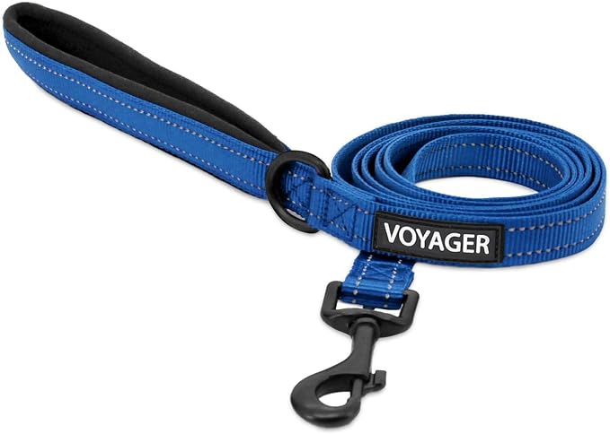 Best Pet Supplies Voyager Nylon Dog Leash - 6ft Royal Blue, Large | 6ft in Length, 1" in Width, Reflective, Soft Neoprene Handle, Heavy Duty Metal Clips for Running, Walking & Training by BestPetSuppliesLLC