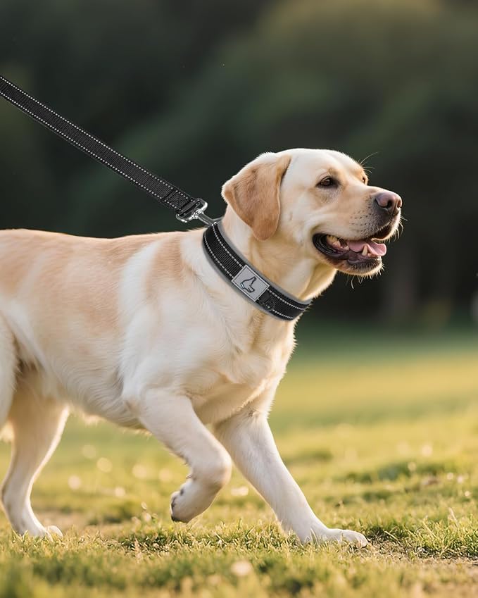 Joytale Reflective Dog Collar for Large Dogs with Wide Padding, Black | Soft Cushion Reduce Neck Strain, Night Safety Walking, Metal Buckle and Adjustable Eyelets, Separated Dog ID Tag Ring - Image 6