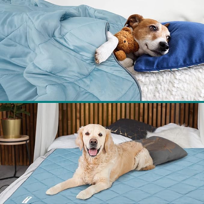 PetAmi Premium Cooling Dog Blanket | Lightweight Fluffy Pet Throw Blanket Bed Cover for Dogs, Cat, Puppies | Pet Blanket Furniture Protector Couch Sofa | Reversible Fuzzy Cozy | 29x40, Dusty Blue - Image 2