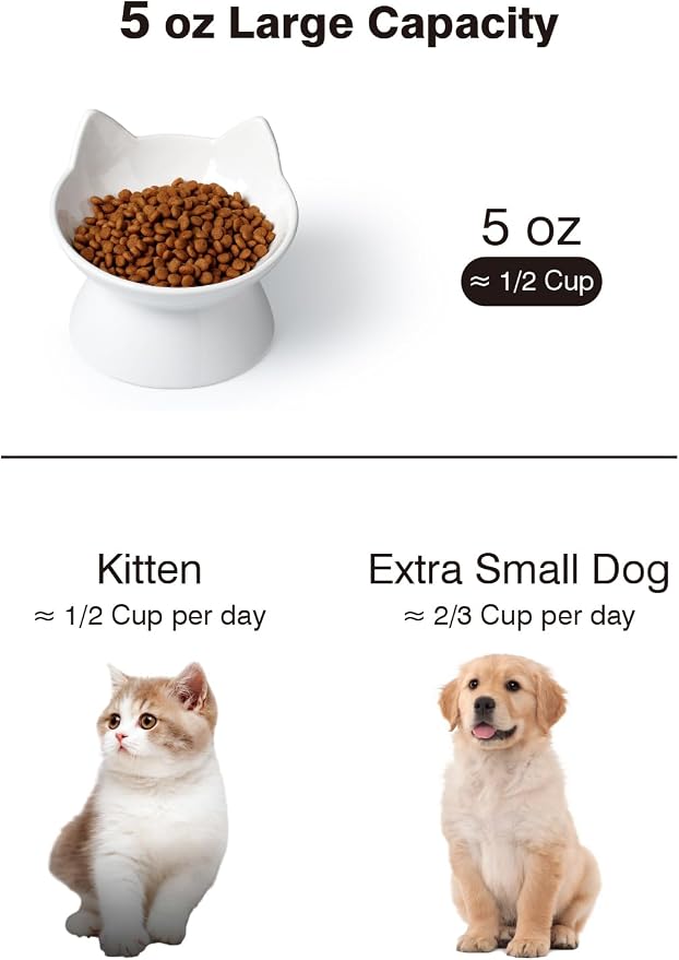 ABRUTY Cat Food Bowl, 5 OZ Ceramic Elevated Kitten Water Bowl, 15° Tilted Raised Pet Feeder, Anti Vomiting and Whisker Friendly Dishes for Fat Faced, Cat, Kitten, Small Dog - Image 2