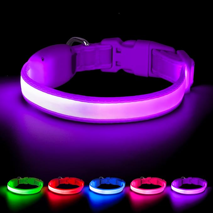 Light up Collar for Small Dog,Vizpet XS Led Adjustable Small Size Collar | USB Rechargeable Bright Safety Pet Nylon Collar for Cats Small Dogs (Purple) by VIZPET