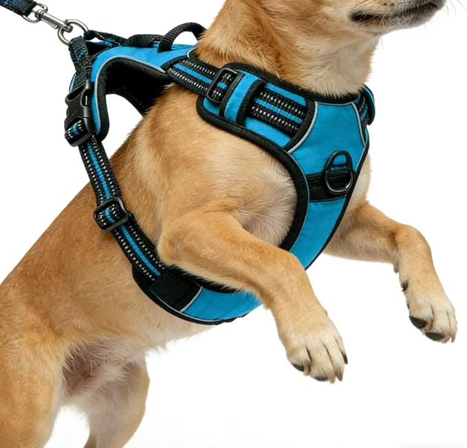 Blue No-Pull Dog Harness with 2 Leash Clips，Soft Padded Vest for Medium Dog, Adjustable Reflective Dog Vest Easy to Put on and Take Off, (Neck: 14"~20", Chest: 21"~27", Blue M) by Unknown