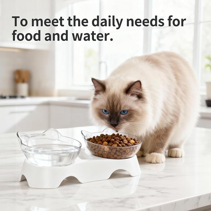 MILIFUN Cat Bowls, Cat Food Bowls Elevated Tilted, Anti Vomiting Kitty Bowl for Puppy and Bunny, Orthopedic for Indoor Cats. - Image 6