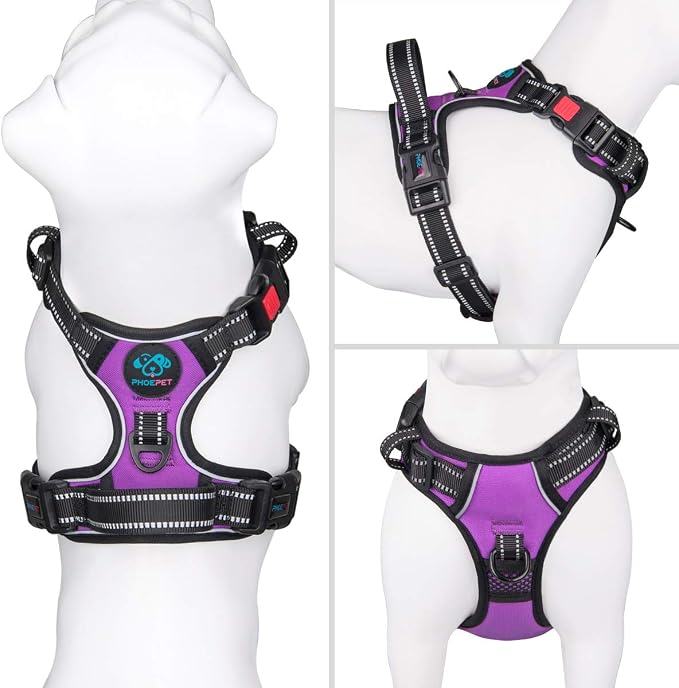 No Pull Dog Harnesses for Small Dogs Reflective Adjustable | Front Clip Vest with Handle 2 Metal Rings 3 Buckles [Easy to Put on & Take Off](XS, Purple) - Image 2
