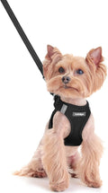 rabbitgoo Dog Harness Small Sized and Leash Set, Step-in Puppy Pet Vest | Light, Soft, Breathable Air Mesh, Easy on and Remove with Hook & Loop, Secure Reflective for Walking, Black XXS by rabbitgoo
