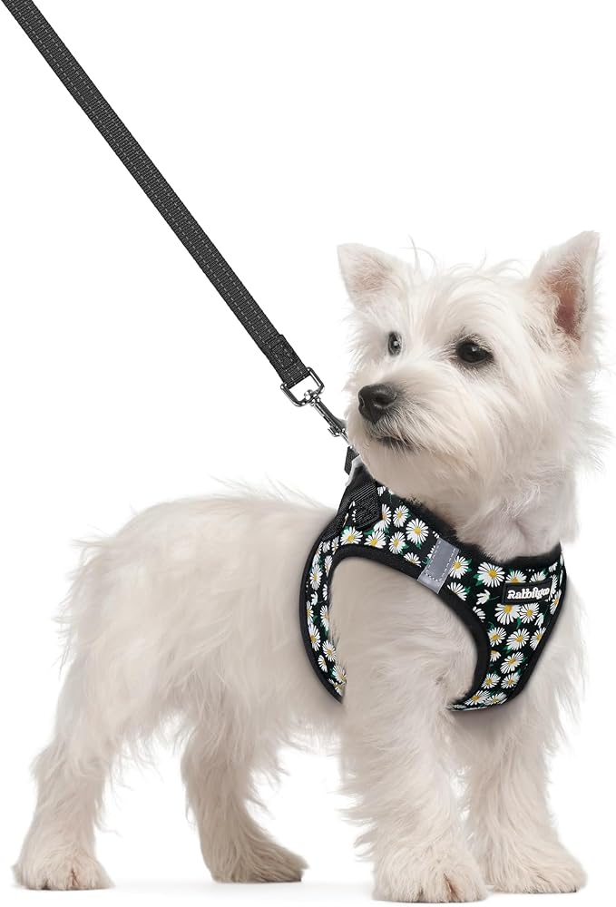 rabbitgoo Dog Harness Small Sized and Leash Set, Step-in Puppy Pet Vest | Light, Soft, Breathable Air Mesh, Easy on and Remove with Hook & Loop, Secure Reflective for Walking, Midnight Daisy S by rabbitgoo