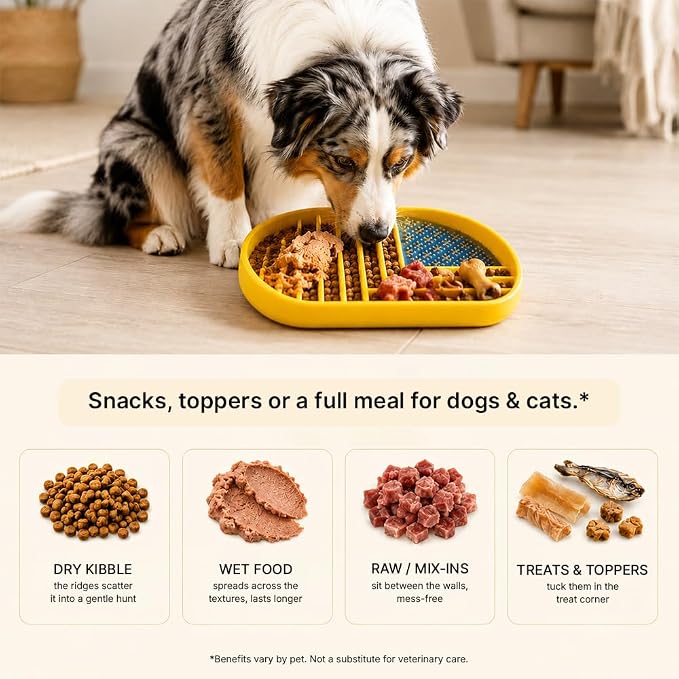 Snack Dish Slow Feeder Bowl for Dogs & Cats – Dual Pattern Design with Treat Corner, Mess-Free Feeding, Dishwasher Safe | Kubi Pets - Image 7