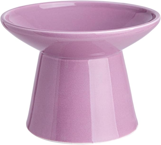 Ceramic Elevated Cat Bowls - 6.2 Inch Extra Wide Raised Cat Food and Water Bowl Set for Indoor Cats, Whisker-Friendly Ceramic Cat Dish for Elder Big Cats & Small Dogs,Dark Purple,1 Pack by KITCHENLESTARaddsmorebeautifulcolourstoyourlife