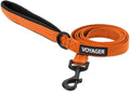 Best Pet Supplies Voyager Nylon Dog Leash - Orange, Small | 5ft in Length, 5/8" in Width, Reflective, Soft Neoprene Handle, Heavy Duty Metal Clips for Running, Walking & Training by BestPetSuppliesLLC