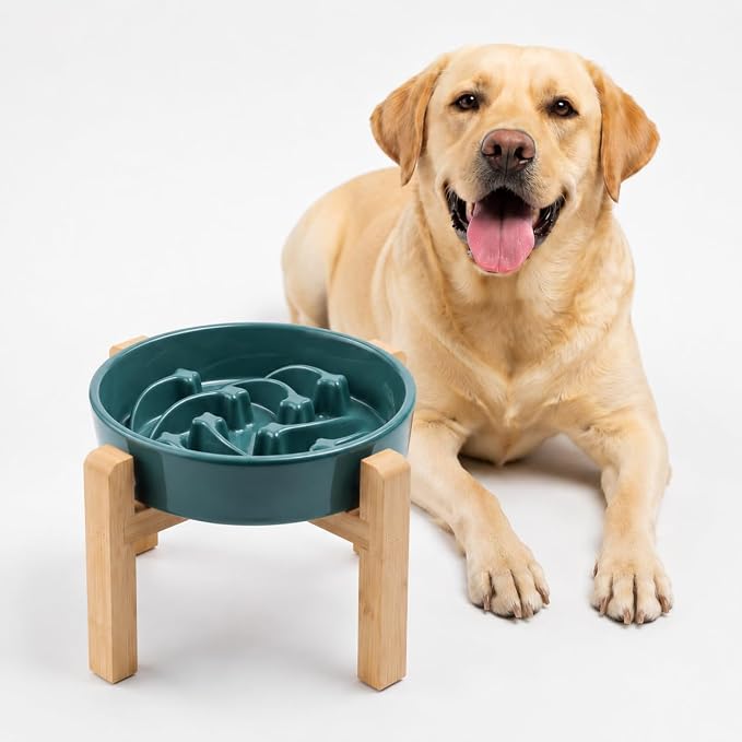 Ceramic Slow FeederDog Bowl for Medium Large Dogs,Heavy Weighted,Puzzle Eating Bowl Modern Maze (Stars Mark-Forest Green, 8.66in) by Unknown