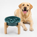 Ceramic Slow FeederDog Bowl for Medium Large Dogs,Heavy Weighted,Puzzle Eating Bowl Modern Maze (Stars Mark-Forest Green, 8.66in) by Unknown