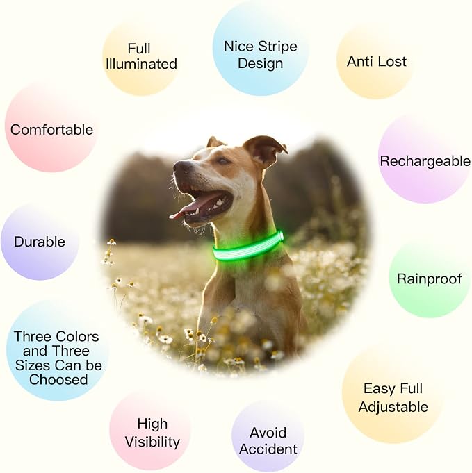 YFbrite Light up Dog Collar, USB Rechargeable LED Puppy Collar Super Bright Adjustable Glowing Dog Lights for Night Walking (Design 2-Green, Medium) - Image 3