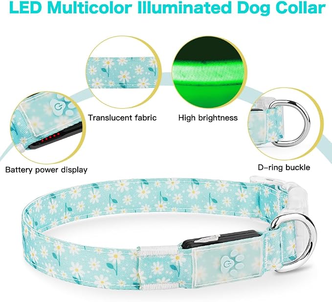 Light Up Dog Collar, USB Rechargeable, Floral Daisy Print (L) | USB Rechargeable LED Dog Collar with Bright Light, Adjustable Fit, Floral Daisy Rose Design for Safe Night Walks - Image 5