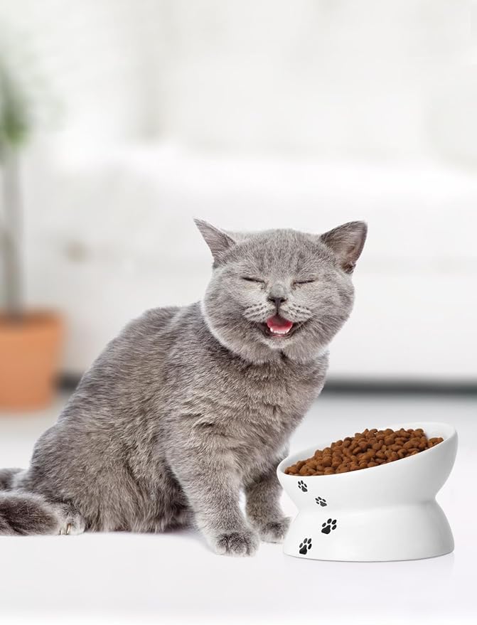 Y YHY Cat Bowl Anti Vomiting, Raised Food Bowls, Tilted Elevated Bowl, Ceramic Pet Food Bowl for Flat Faced Cats, Small Dogs, Protect Pet's Spine, Dishwasher Safe (5 Inches, White) - Image 4