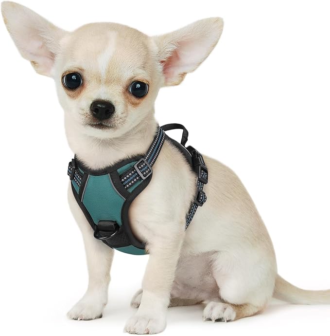 Eagloo Dog Harness for Small Dogs, No Pull Pet Vest with 2 Leash Clips | No Choke with Handle, Adjustable Comfort Fit, Reflective Strips, Easy Walking Control, Dark Green, X-Small by GoExplorewithEagloo