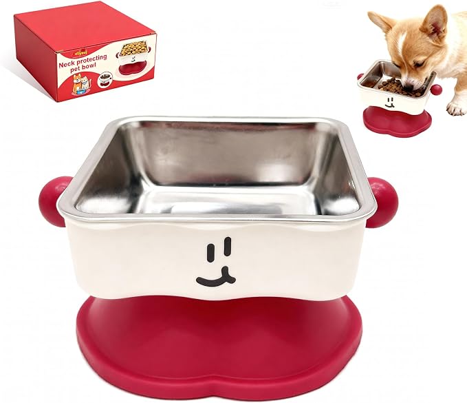 Elevated Cat & Small Dog Bowl - 30° Slanted Anti-Slip Feeding Bowl, Detachable Stainless Steel Design, Reduces Stomach Pressure, Comfortable Eating Posture, Easy to Clean, Fits Cats & Small Breeds by Petayouj