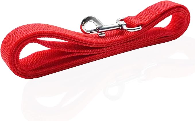 Nylon Dog Leash 4 Ft 5 Feet 6 Foot Long, Walking Training Dog Leashes for Medium Large Dogs, 1 Inch Wide (1" X 5 ft, Red) - Image 3