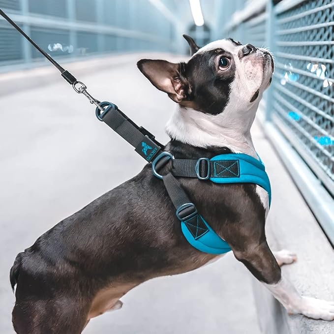 Gooby Escape Free Sport Dog Harness, Choke-Free, Lime, Large | Patented escape-free frame; Reduces choking; 4-point adjustment; Soft neoprene padding; Durable webbed straps - Image 7