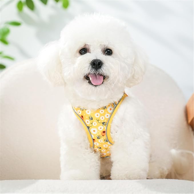 Step in Dog Harness No Pull Honeybee Adjustable Soft Mesh Harness | Padded Reflective Pet Vest Harness and Leash Set for Small Medium Dogs - Image 5