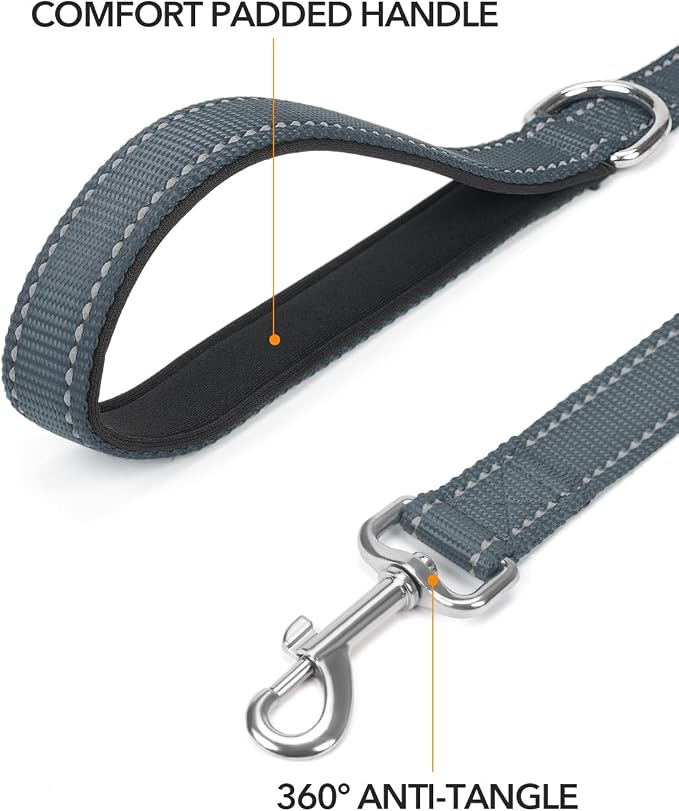 Taglory Reflective Dog Leash for Small Dogs, 3/4in x 5ft, Grey | Ideal for Night Walking, Strong for Sudden Pulls, Lightweight & Gentle on the Neck, Soft Padded Handle - Image 2