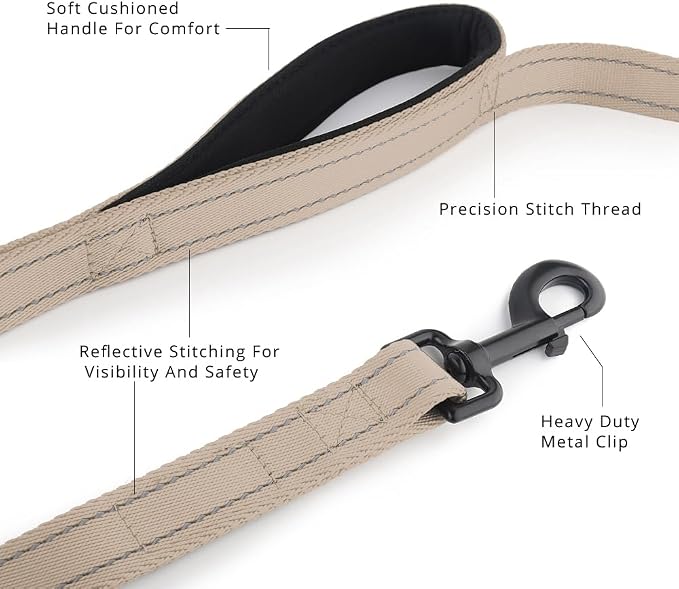 Plutus Pet Double Handle Dog Leash, 6 FT Long, for Medium Large Dogs | Reflective Nylon, Soft Padded 2 Handles, Heavy Duty for Training, Dual Handle Lead, 6 FT x 1”, Beige - Image 3