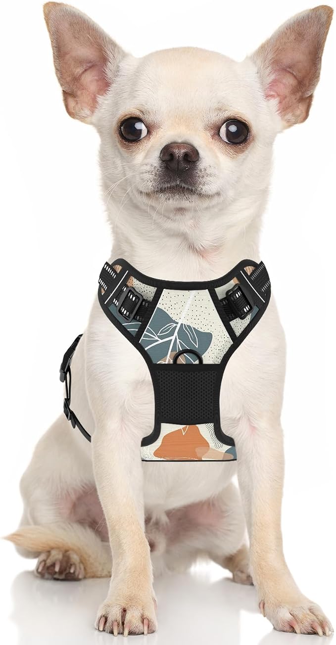 Rnivvi No Pull Dog Harness, Cute Boho Reflective Small Sized Puppy Kitten Harness, Adjustable Soft Padded Vest for Small Dogs, Cats, Heavy Duty Pet Vest with Easy Control Handle for Walking, Leaves - Image 2