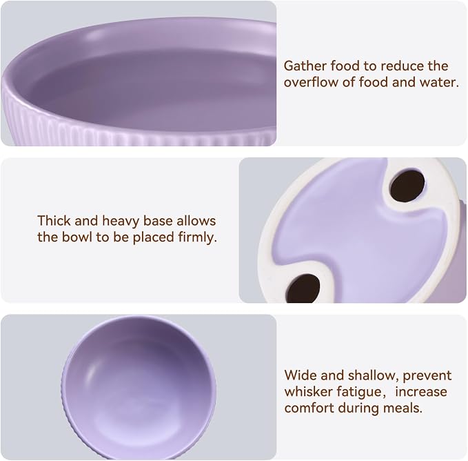 Ceramic Elevated Cat Bowls-Water Bowl, 15° Tilted Design, Anti-Vomiting & Spine Protection, Prevent Whisker Fatigue for Kittens to Adult Cats and Small Dogs (White-15° Cat Bowls-2) - Image 5