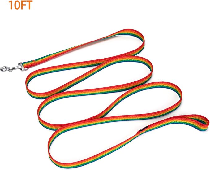 Strong Durable Nylon Dog Training Leash, 1 Inch Wide Traction Rope, 6 ft 10ft 15ft Long, for Small and Medium Dog (Rainbow, 10 Feet) - Image 8