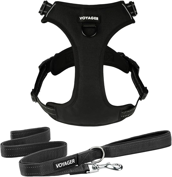 Voyager Dog Harness Dual Leash Attachment No-Pull Control Adjustable Soft but Strong Pet Harness for Medium and Large Dogs with 3M Reflective Technology, Leash Set Black Nylon, M (Chest: 20-25") by BestPetSuppliesLLC