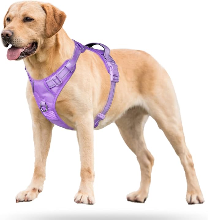 PoyPet No Pull Dog Harness, Reflective Vest with 2 Leash Clips & Handle | Lockable Neck Release Buckle, No Choke, Adjustable, Soft Padded, for Walking Training, Light Purple Matching Trim, Large - Image 5