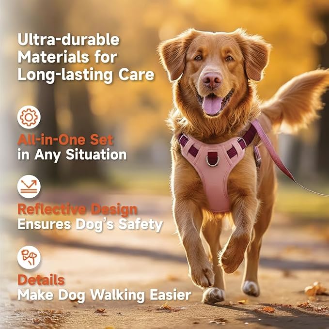 Dog Harness and Leash Set with Collar, No Pull Reflective Pet Vest Harness with Control Handle for Medium Large Dogs Walking and Training - Image 2
