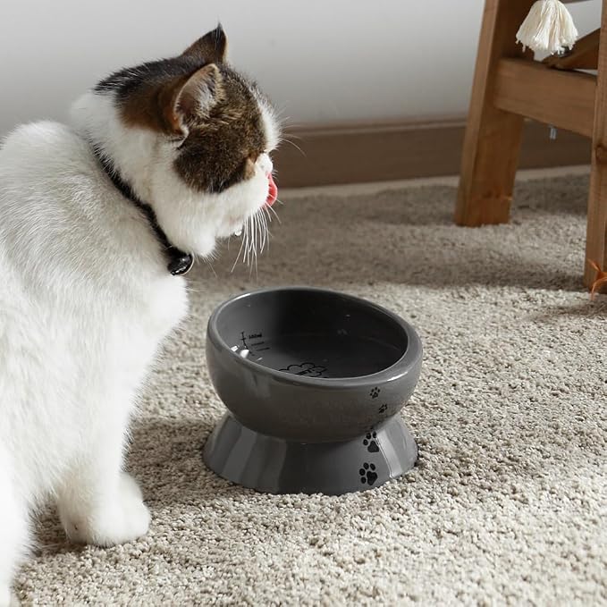 Y YHY Elevated Cat Food Bowl, Raised Pet Food and Water Bowl, Ceramic, 15oz - Image 7