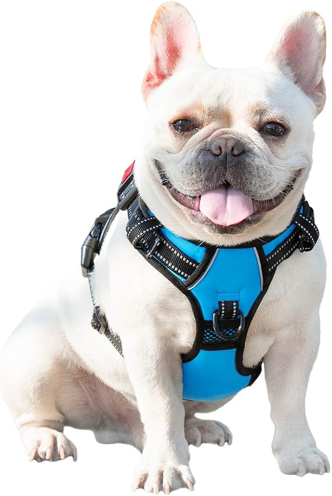 No Pull Dog Harnesses for Small Dogs Reflective Adjustable | Front Clip Vest with Handle 2 Metal Rings 3 Buckles [Easy to Put on & Take off](S, Blue) - Image 8