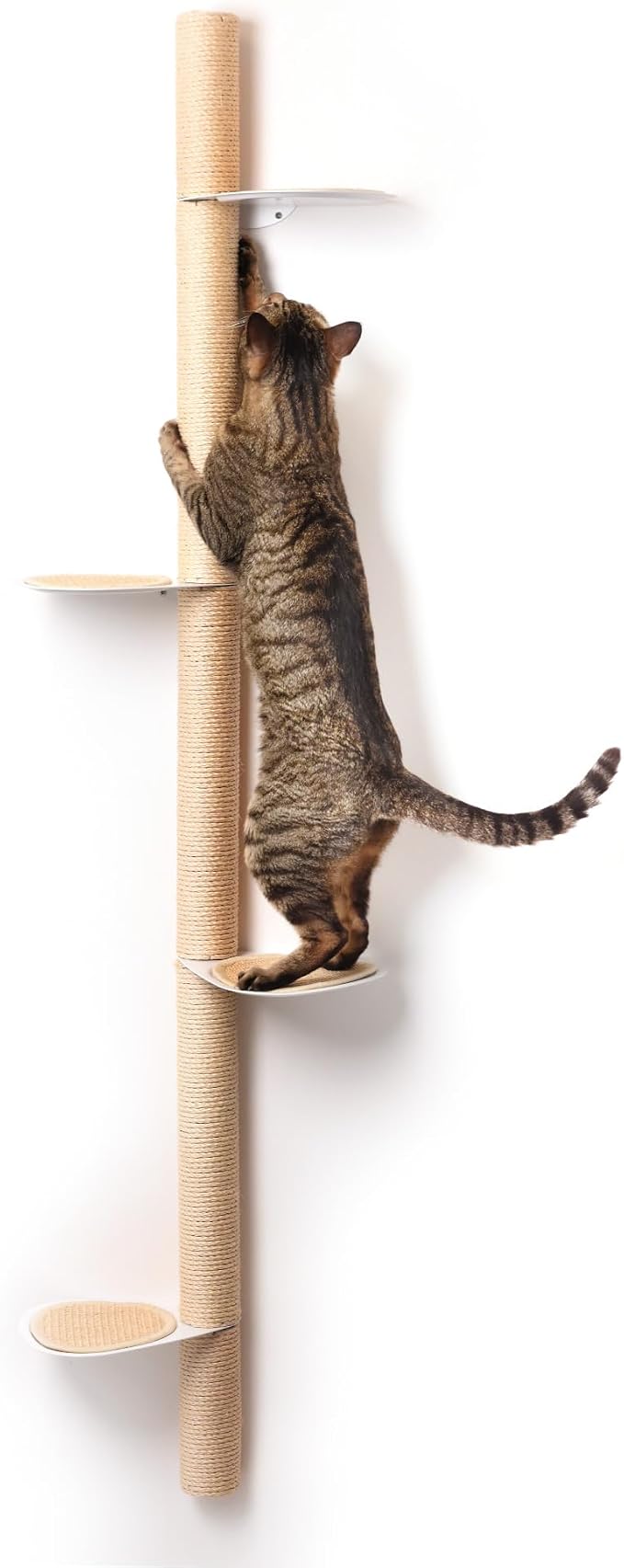 68" Tall Wall-Mounted Cat Tree – Modern Space-Saving Cat Shelf with Sisal Scratching Post & Steel Climbing Steps – Stylish Cat Wall Furniture for Small Spaces by xympo