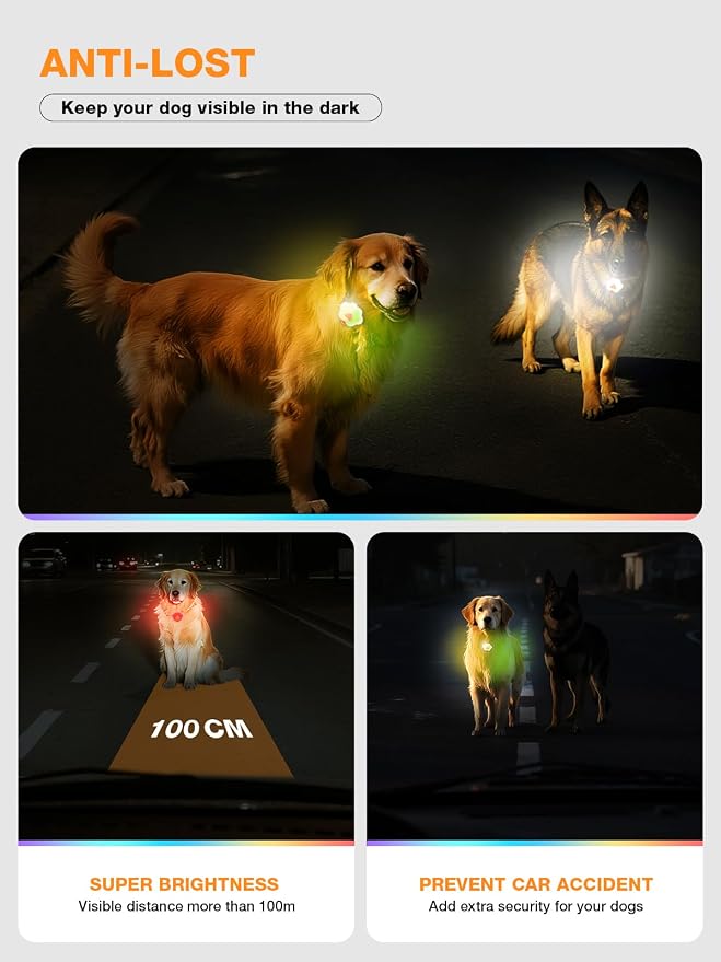 Lekereise Light up Dog Collar - Dog Collar Lights for Night Walking - Dog Collar Lights Clip on - Waterproof Rechargeable Clip-On Design, 17-Hour Battery Life - Image 3