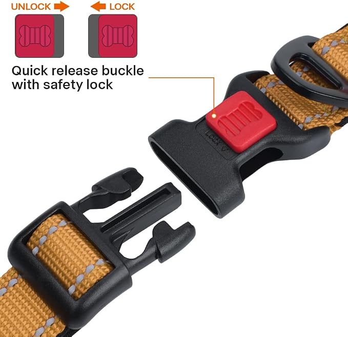 Taglory Reflective Small Dog Collar, Comfortable for Safe Night Walks, Tan | Night-Walk Visibility, Soft Neck Cushioning, Adjustable 10-16 in, Locking Buckle, D-Ring for Leash and ID Tags - Image 3