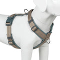 Plutus Pet No Pull Dog Harness, Adjustable Nylon Harness with Soft Padding | Reflective with Front Clip, Heavy Duty for Training and Walking, for Small Medium Large Dogs, Beige, L by PLUTUSPET