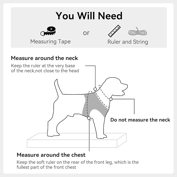 Joytale Step-in Dog Harness, Soft Breathable Mesh, Black L | Adjustable Fit for Small Dogs, Easy Step-in with Secure Fastener, Even Chest Pressure, Reflective For Night Safety, Washable - Image 6