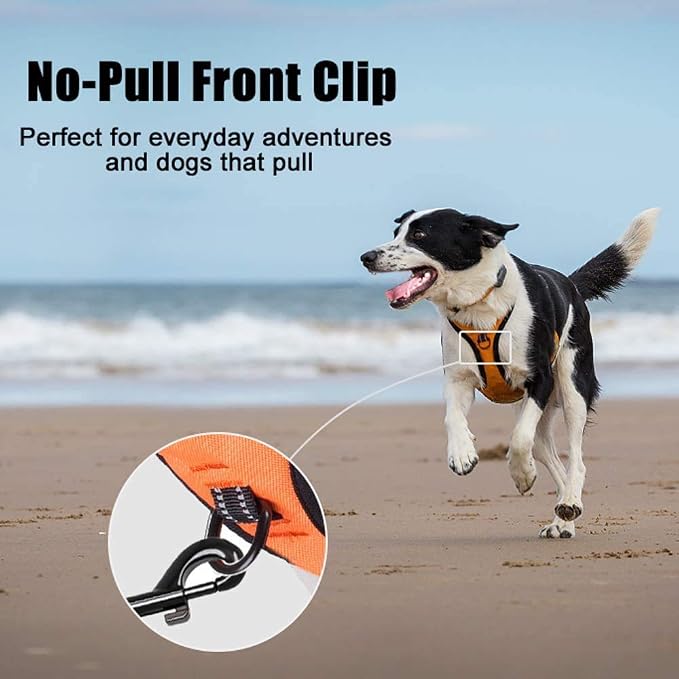 PoyPet No Pull Dog Harness Small, Reflective Vest with Front Clip & Handle | Easy On/Off, No Choke, Adjustable, 2 Leash D-rings, Soft Padded, Breathable, Oxford, for Walking Training, XS, Orange - Image 3