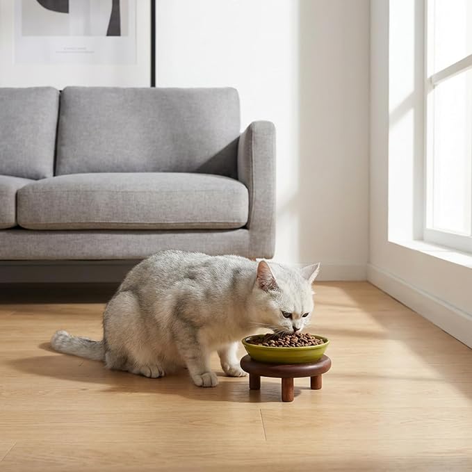 SPUNKYJUNKY Shallow Elevated Cat Bowl with Acacia Wood Stand Wide Raised Ceramic Cat Dishes Whisker Friendly Pet Food and Water Plates (Striped Pattern, 2 Pack, Green) - Image 6