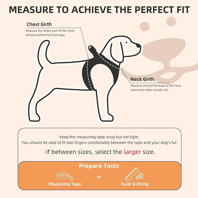 PUPTECK Dog Harness, Collar and Leash Set No Pull for Small Medium Sized | Plaid Puppy Step-in Escape Proof Reflective No Choke Pet Cat Adjustable Walking Vest - Image 2